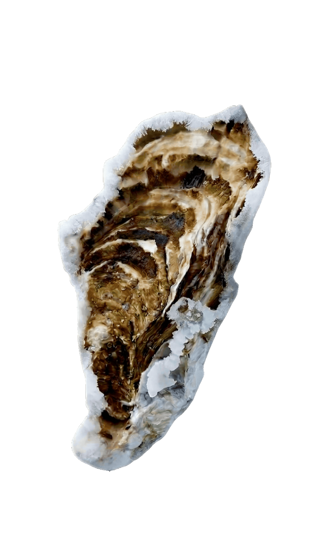 氷刻四五〇 瞬間冷凍